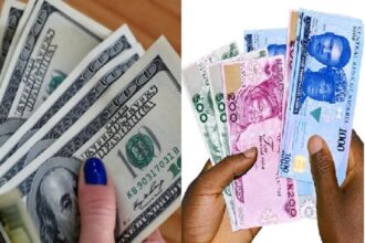 Naira crashes again, JP-Morgan lauds Nigeria’s market-friendly reforms Naira under pressure amid
