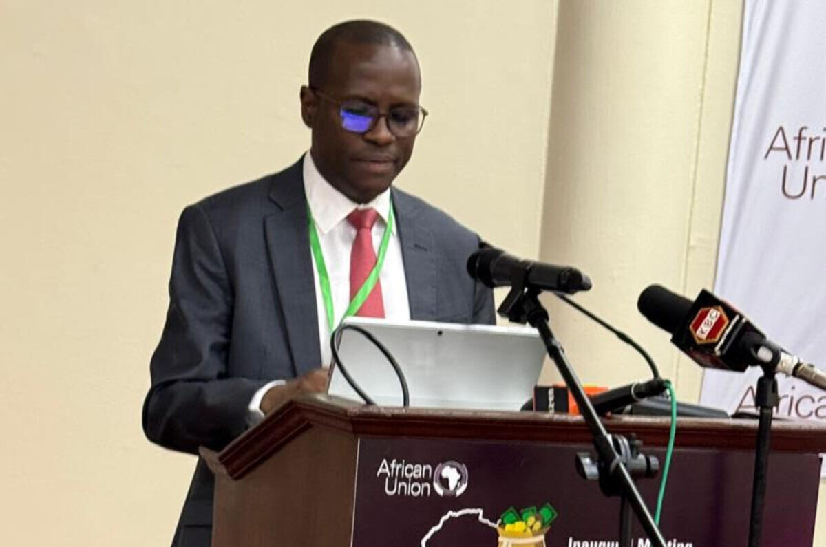 Nigeria calls for strategic diplomacy to tackle illicit financial flows in Africa
