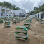 Easter: Senator Natasha distributes 600 bags of rice to constituents