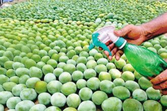toxic chemicals in fruit ripening