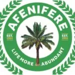 Afenifere condemns plot to destabilise Tinubu’s govt