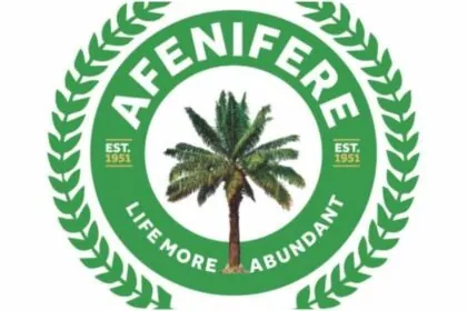 Afenifere condemns plot to destabilise Tinubu’s govt