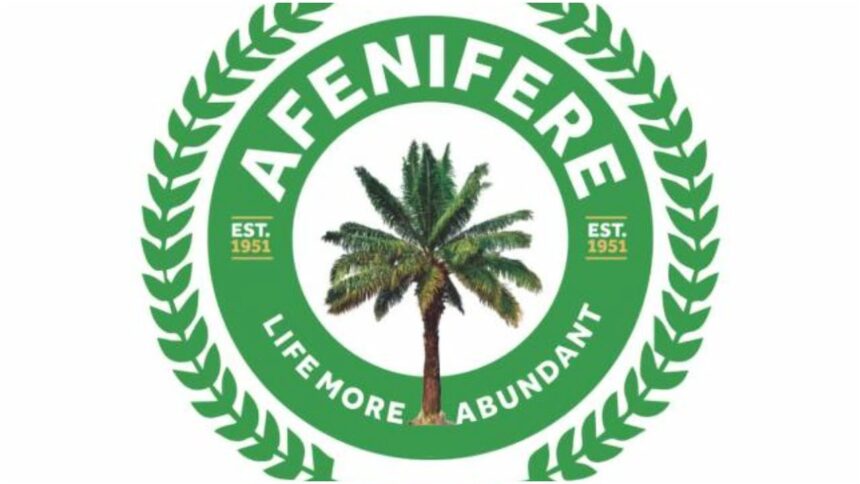 Afenifere condemns plot to destabilise Tinubu’s govt, Afenifere urges governor,Afenifere advocates South-West joint security taskforce to address insecuritys