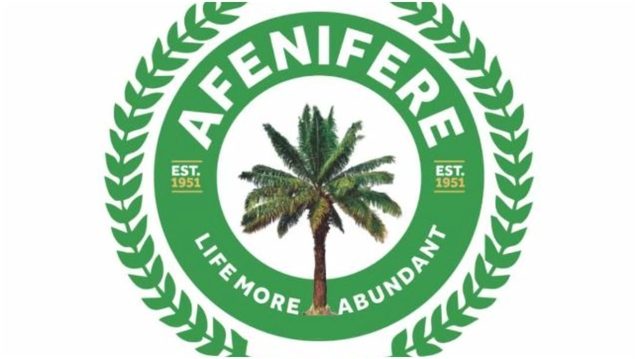Afenifere condemns plot to destabilise Tinubu’s govt