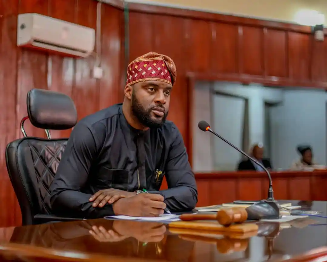 legislature's role in tackling insecurity,