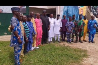 PDP LG chairmen