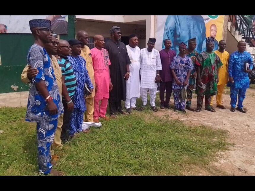PDP LG chairmen