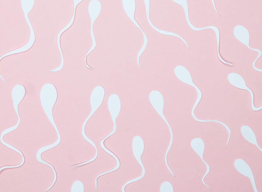 Fertilization