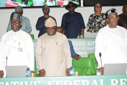 Reps assure on adequate revenue generation for sustainable national economic devt