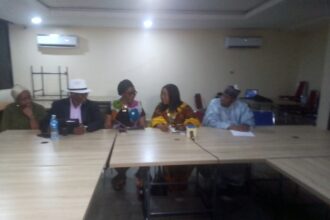 Only professionals can curb building collapse in Nigeria - NIA