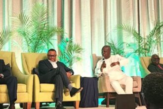 We’re committed to leading indigenous gas revolution — Seplat boss