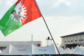 Labour Party lose officials