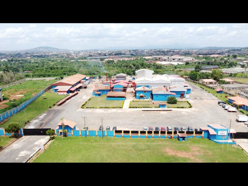 world market