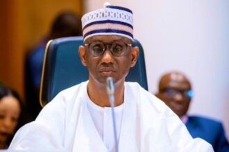 approach to security challenges, Crude oil vandals threatening national assets