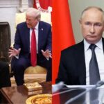 Zelenskyy direct talks with Putin