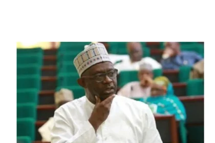 Senator Karimi on insecurity