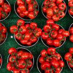 US: Why tomatoes are being recalled in New York,13 other states