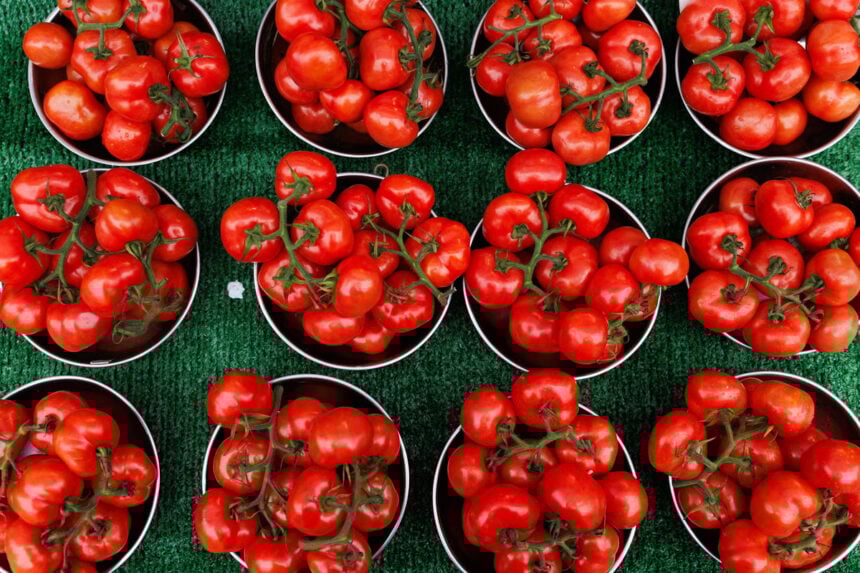 US: Why tomatoes are being recalled in New York,13 other states