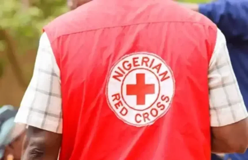Red Cross distributes relief materials to 2024 Anambra flood victims