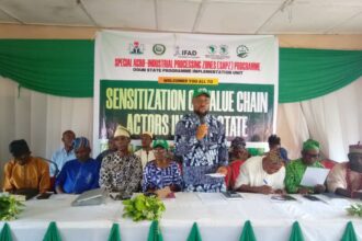 agro industrial processing zones