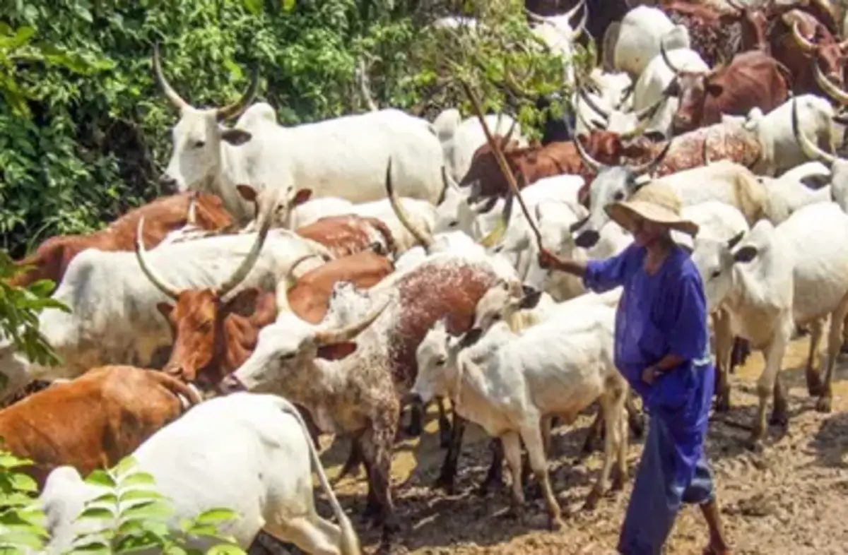 lands occupied by armed herdsmen