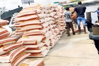 importation of rice