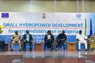 UNIDO partners EU on small hydro-power