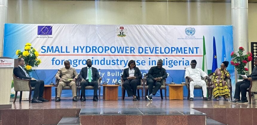 UNIDO partners EU on small hydro-power