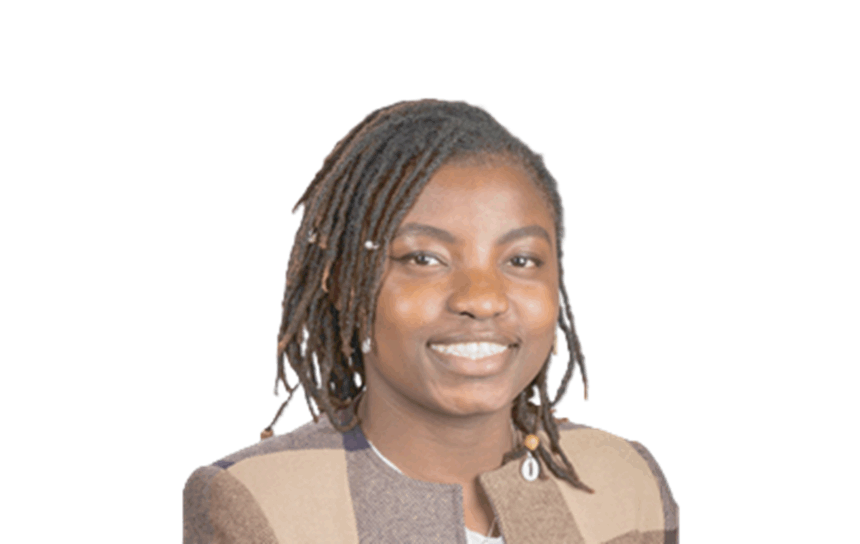 Nigerian agriculture should go beyond cutlasses