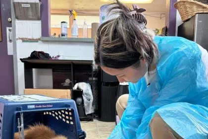 US: Over 100 dogs rescued from suspected ‘Puppy Mill’ in North Carolina