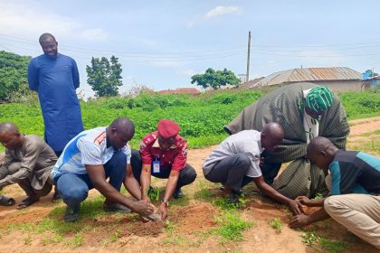 Agroforestry: Smallholder farmers get free tree seedlings in Kwara