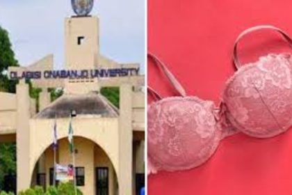 A mixed photo of OOU and bra
