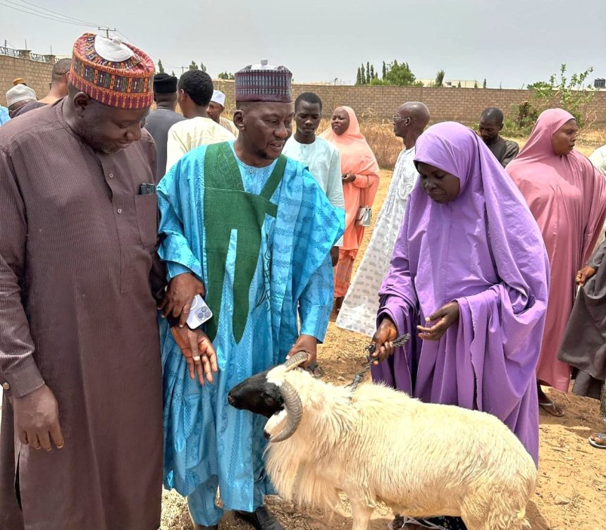 Sallah: Pantami Foundation donates N66m, 162 animals to underprivileged in Gombe, Abuja