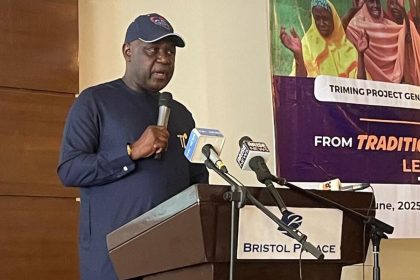 Representative of Minister of water resources speaking on Nigeria’s irrigation project