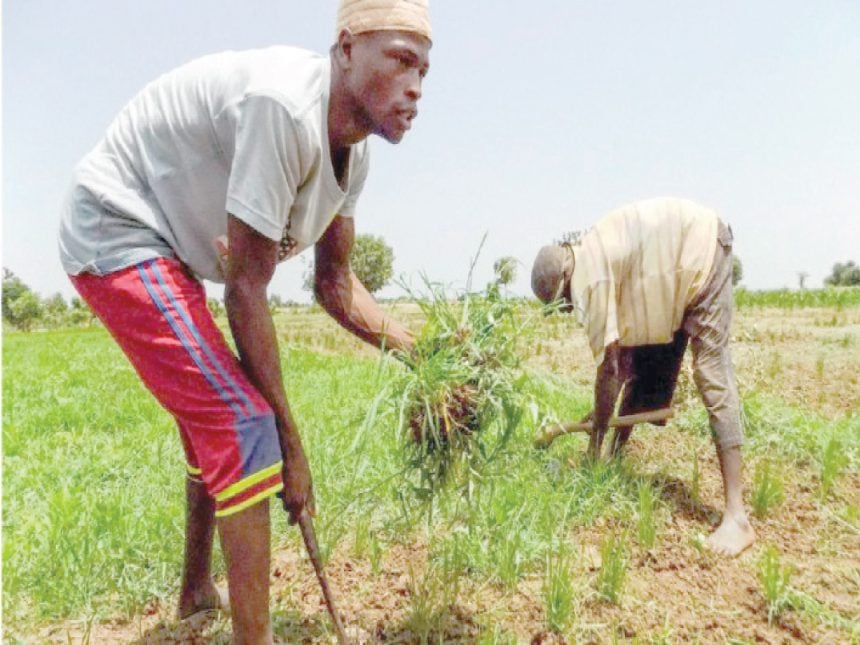 food security in Nigeria
