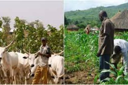 Photo illustrating farmers-herders clashes