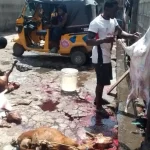 illegal abattoir in Agege