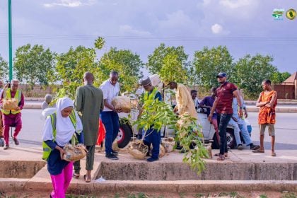 Gombe ACReSAL plants 200 seedlings at Northeastern varsity to combat climate change