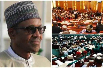 Former President Muhammadu Buhari and both chambers of the National Assembly (NASS).