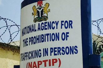NAPTIP logo human trafficking in Edo Delta , NAPTIP