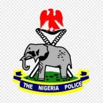 logo of NPF,