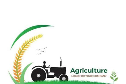agriculture in Nigeria Jigawa farmers decry high cost of fertiliser, inputs