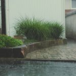 rain falling