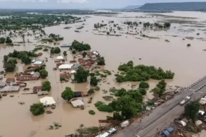 impact of flood in Nigeria,