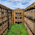 Gummi-memorial-school