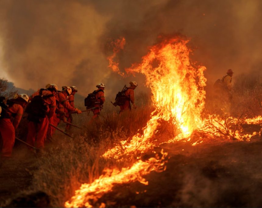 california brush fire