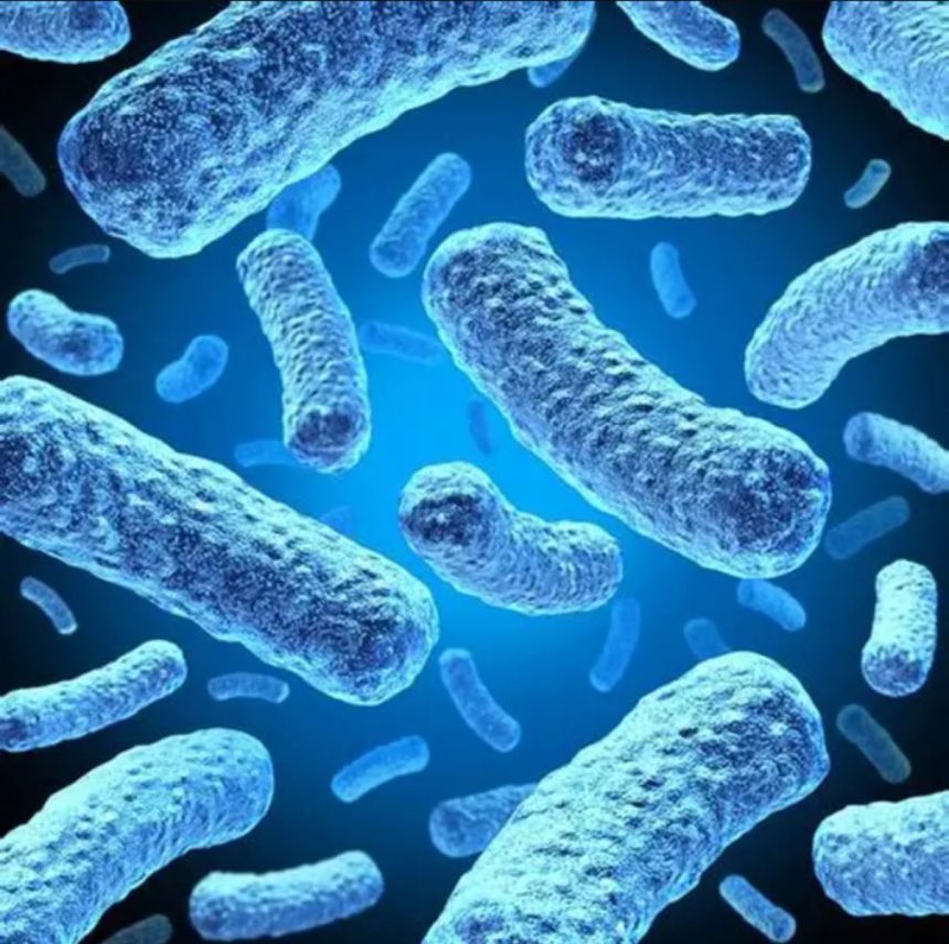 Legionnaires disease