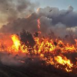 wildfire in everglades