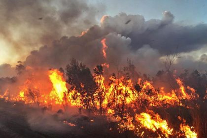 wildfire in everglades