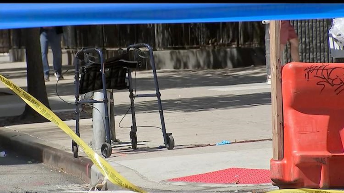 Woman using walker shot in the face in US